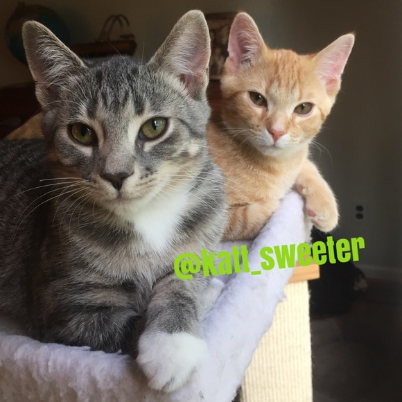 GAME CLOSED PLS LIKE NEW LISTING⬅️TY!😃 - Picture 6 of 16